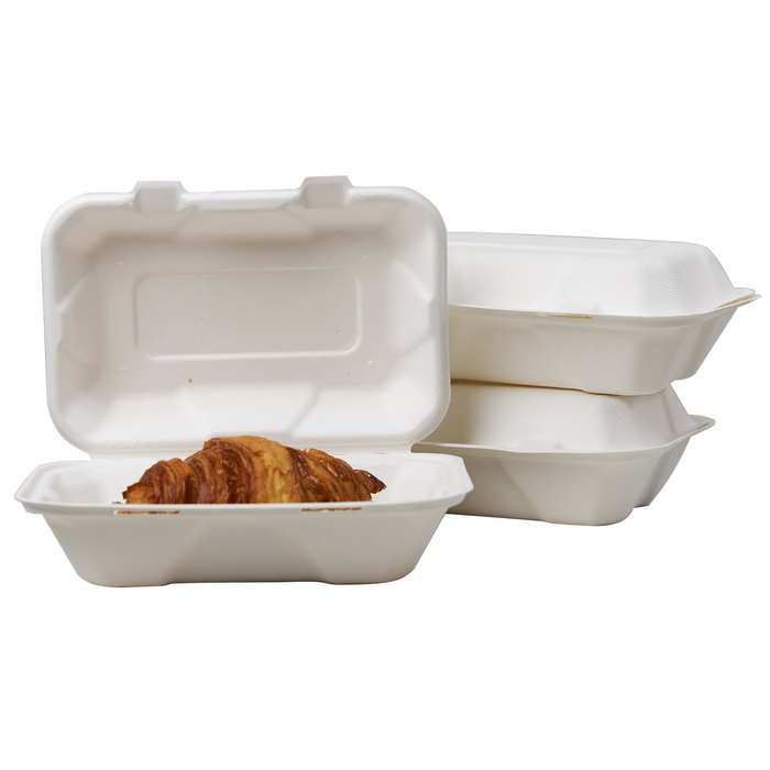 Sugarcane lunch box 230x155x77 mm